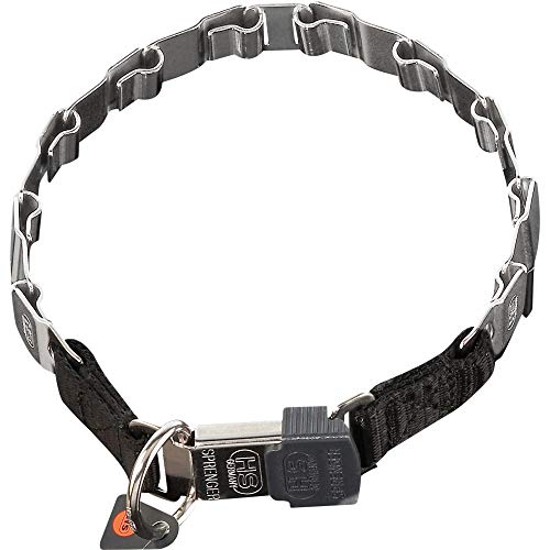 Sprenger Hundehalsband "Neck-Tech Fun" mit ClicLock Verschluss I Hundehalskette aus rostfreiem Edelstahl, flache austauschbare Gliederkette, 48cm
