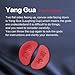 LWDUDE I Ching Spiritual Divination Tool, Fortune Telling Set Comes with Instructions for Beginners, Three Answers Determine The Choice, Guide Decision Making Faster Than Astrology and Tarot Cards.