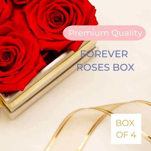 AROMEO Red Roses Gift That Lasts - Valentines Day Gifts. Preserved Fresh Flowers for Delivery Prime. Mothers Day Gifts, Roses for Her, Girlfriend, Wife, Birthday, Women Gift. Forever Roses Fresh Cut