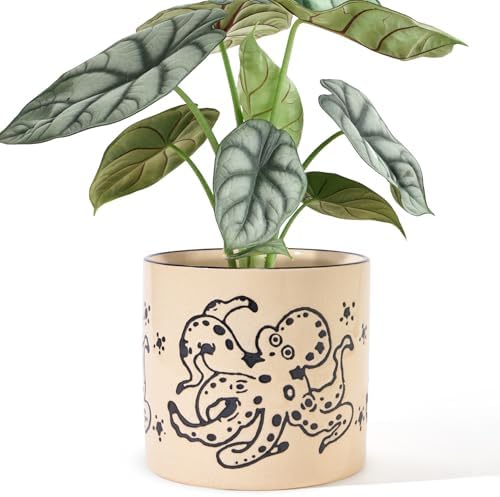 STHIE 5 Inch Ceramic Plant Pots with Drainage Holes, Small Round ...