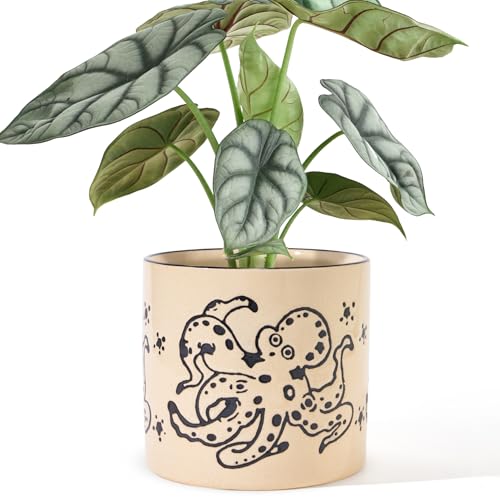 5 Inch Ceramic Plant Pots with Drainage Holes, Small Round Flower...