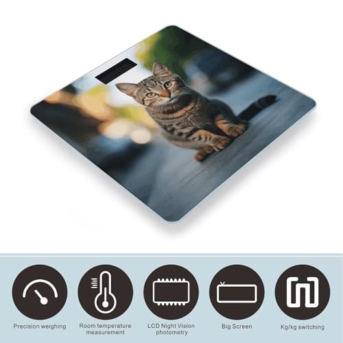 Báscula digital para baño diseño Brown Tabby Kitten miniatura 3