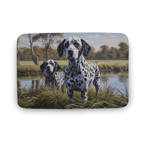 Funny Dalmatian Dog Coral Velvet Rugs Non-Slip Bathroom Rugs Soft Kitchen Rug Floor Carpet for Home Decor 15.7