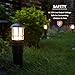 Malibu Lighting 8400-4320-01 1.1W LED Aged-Iron Metal Bollard - Black