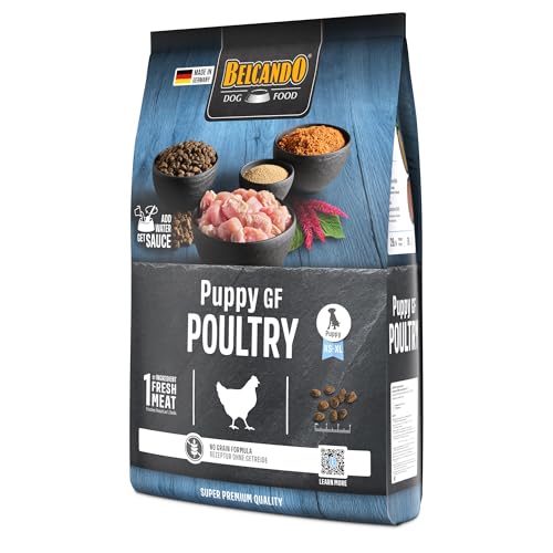 BELCANDO Puppy GF Poultry [4 kg] getreidefreies Welpenfutter | Welpenfutter ohne Getreide | Alleinfuttermittel für Welpen bis 4 Monate