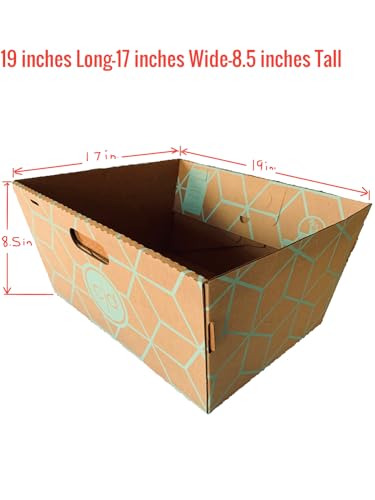 Caja sanitaria desechable para gatos Cats Desire 12 trays grande miniatura 2