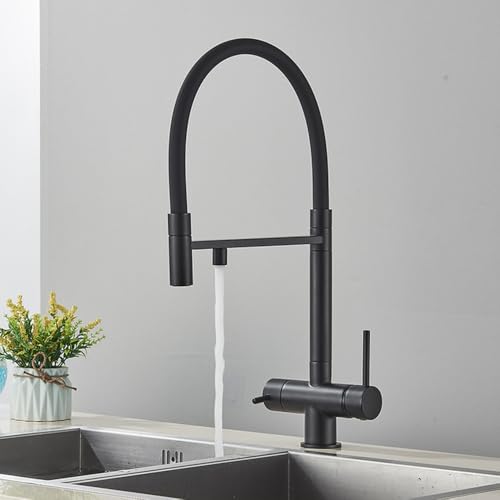 Eau Purifiée de Cuisine Directement au Robinet | Mitigeur Noir Mat avec Rotation Pratique