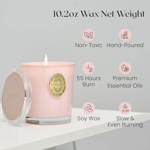 M&SENSE 290g Soy Scented Candles Coconut Lime&Apricot - 55 Hours Long Burning, Natural Non-Toxic Glass Jar Candle, Aromatherapy for Relaxing, Luxury Birthday/Mother's Day Gifts for Women - Image 3