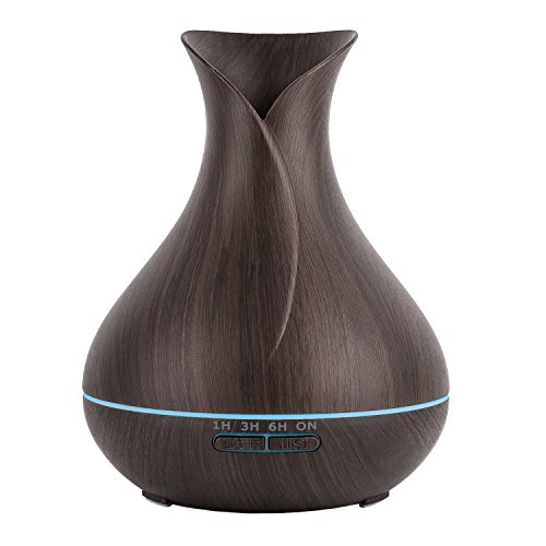 Best Aroma Oil For Air Purifier