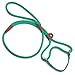 Mendota Pet Dog Walker, Martingale Style Leash - Leash & Collar Combo, Made in The USA - Kelly Green, 3/8 in x 6 ft - for Small/Medium Breeds