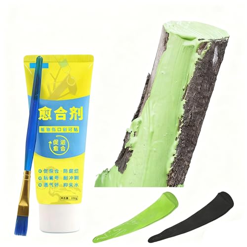 AN[ uVt 100g ؐ؂ی  ؂ёnp ɓh ~͑n 蕡   V[[ڂ ʎڐAs   n   V[[   AJbeBOy[Xg |A ڂ 