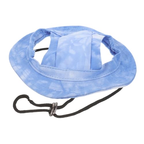 Abaodam p   hNXq p 炵 ~Xv r[`p[eB[