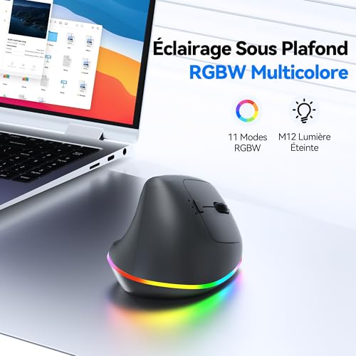 Souris Bluetooth + 2.4GHz compatible PC Windows et Mac OS