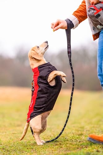 iEnergy™ GEM, 150cm Lange Führleine | Gepolsterte Hundeleine für große und mittlere Hunde | Reflektierend | Extrem leicht | Profi-Kletterseil