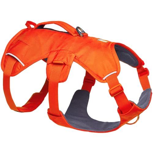 Ruffwear Web Master Harnais pour Chien avec poignée et Boucle améliorée, réglable et léger pour Les promenades et randonnées, Anti-Fuite, sans Traction, Respirant...