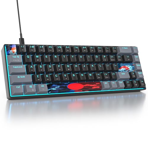 Ya en mundofriki.es: SbocKeeb Teclado Mecánico 60%，American QWERTY Layout 68 Teclas Teclado Gaming Retroiluminado RGB, Cableado PBT Keycaps, Compatible con PS5/PS4/Xbox