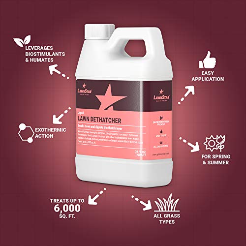 Liquid Lawn Dethatcher (32oz) - Convenient Alternative to Corded, Electric, Rake & Tow Dethatchers - Digests Thatch Layer Naturally, Contains Humic Fulvic Seaweed & Molasses, Pairs with Aerator