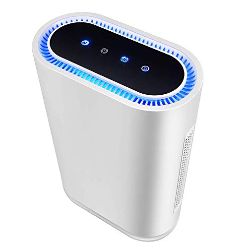 Luftreiniger mit True HEPA Filter für große Zimmer Allergien, Haustiere, Smoke & Mold, Smart-Geruch Eliminator Luftfilter
