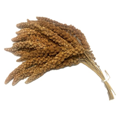 500g Premium Red Millet Sprays - Ideal Food for Cage & Aviary Birds