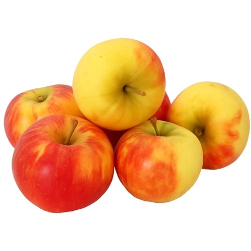 Äpfel Elstar vom Bodensee fein-säuerlicher Apfel 1-10 KG (2) neue Ernte 2025