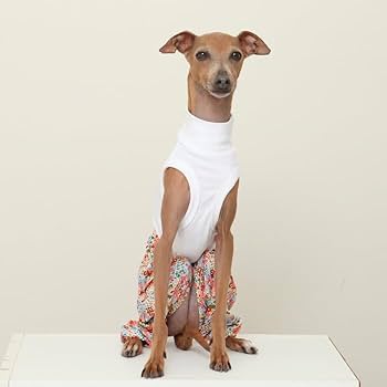 sally　イタグレ服 Amazon | D DOGGY STAR イタグレ服 花柄 サルエルパンツ もんぺ
