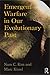 Emergent Warfare in Our Evolutionary Past (New Biological Anthropology)