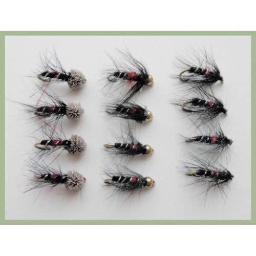BIBIO Forelle Fliegen 12 Stück - Goldkopf Fliegen Fürs Fliegenfischen