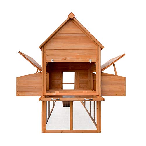 Pollaio con casetta di nidificazione e recinto