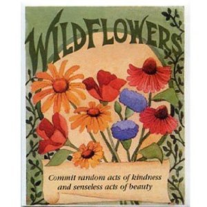 Wildflower Favor Seed Packet DGS30058 Wildflower Favor Seed Packet DGS30058