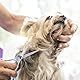 Hundeschere Set Profi 6 in 1,Effilierschere Hund Fellpflege,Fellschere Hunde Katze Set,Hund Haarschere & Pfotenschere,Modellierschere Hundehaare Schneiden für Tierfellpflege