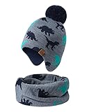 Adorel Jungen Mütze Loop Schal Set Gefüttert Wintermütze Dino Grau 2-4 Jahre (Herstellergröße M)