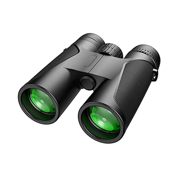 Fernglas, 10x42 Ferngläser HD Wasserdicht Fernglas für Kinder und Erwachsenemit wenig Licht Nachtsicht, fernglas kompakt…