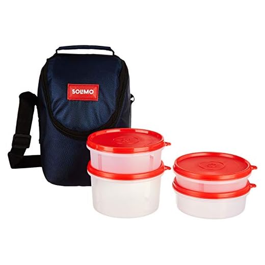 Amazon Brand - Solimo Plastic Lunch Box with Bag, Set of 4, Blue