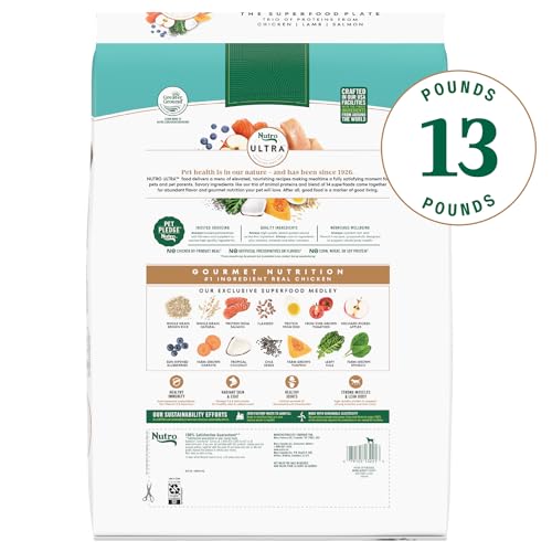 Image of Nutro Ultra High Protein Senior Dry Dog Food, Chicken, Lamb & Salmon, 13 lb