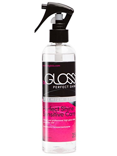 BeGLOSS Perfect Shine Spray Premium 250 ml – Laca de látex – Brillo máximo – El lubricante para el pulido y cuidado de las prendas de goma y látex.