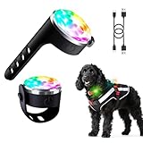 犬の散歩ライト【500mの視認性を誇るLED首輪、超高輝度、ダイヤモンドカットデザイン、防水・防塵IP65、充電式、7色変化+自動フラッシュ、小型犬から大型犬まで対応】
