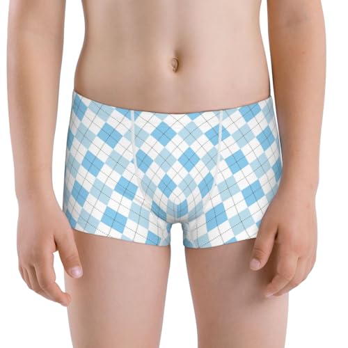 Boys' Cotton Boxer Brief Soft Underwear-Blue And White Squares
