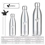 Aorin 500ml Trinkflasche (Silber) - 5