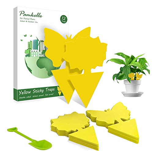 12 Pack Fruit Fly Gnat Trap, Sticky Traps Indoor - Insect Killer for Fungus Gnat, Fruit Fly and Other Insects, Protect The Plant 12 Pack Fruit Fly Gnat Trap, Sticky Traps Indoor - Insect Killer for Fungus Gnat, Fruit Fly and Other Insects, Protect The Plant