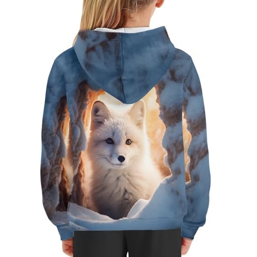 Image of GLUDEAR Teen Boys Girls Novelty Animal Galaxy Hoodies Sweatshirts Pullover