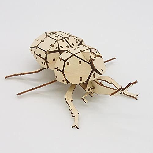 Amazon | つくるんです ポケットバグズ カブトムシ 【日本公式販売