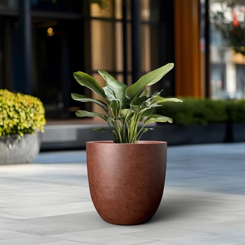 Image of Kante Large Round Bowl Rusty Concrete Planter 18 inch Dia, Outdoor