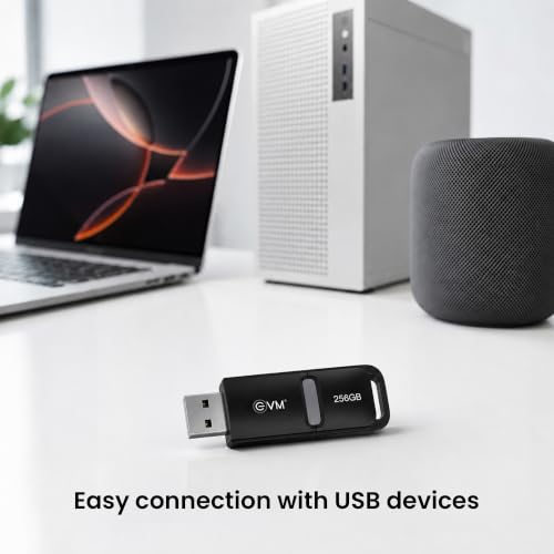 Image of EVM EnX 256GB USB 3.2 Gen 1 Flash Drive | Exceptional 120MB /s Read | Sturdy Premium Metal Body | Convenient Integrated Key Loop | Laptop Desktop Smart TV Car Stereo | 10 Years Warranty (ENX /256GB)