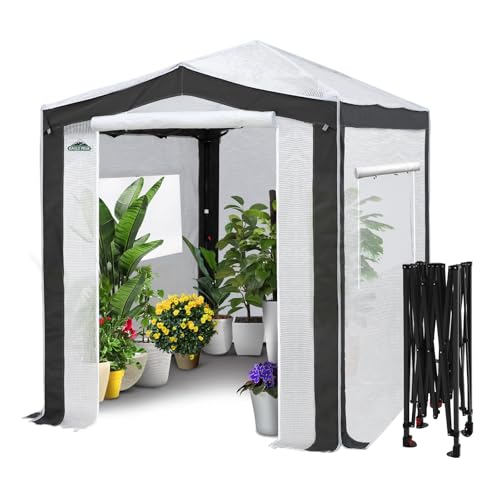 Eagle Peak 8x6 Pop-Up Greenhouse with Mesh Windows
