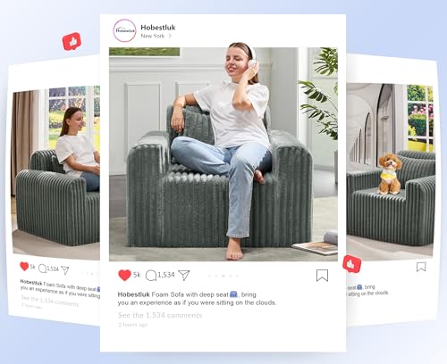 Image of Hobestluk Single Sofa Foam Couch Sofa for Small Spaces Comfy Sofas with Removable Cover Furry Couch with Pillows for Living Room, Bedroom, Apartment, Office (Grey, Standard)