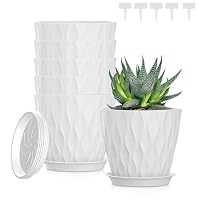 Bailtouk – Bailtouk Blumentopf mit Untersetzer 5er Set, 12.6cm Kunststo