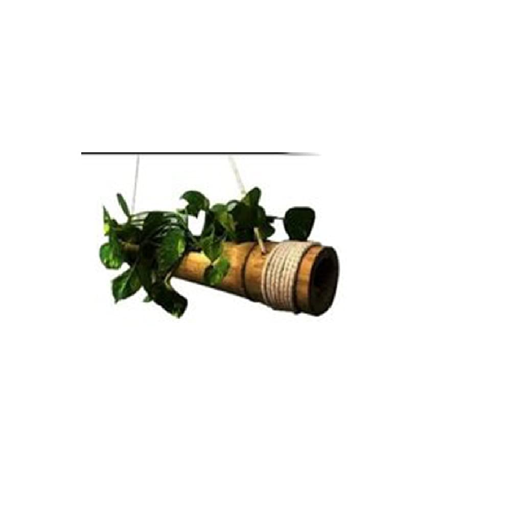 See full amazon price history chart for RARE OCEANS Bamboo Hanging Pot for Plant (1) RARE OCEANS Bamboo Hanging Pot for Plant (1) (B09CDXDTNY) Amazon Price History, Amazon Price Tracker