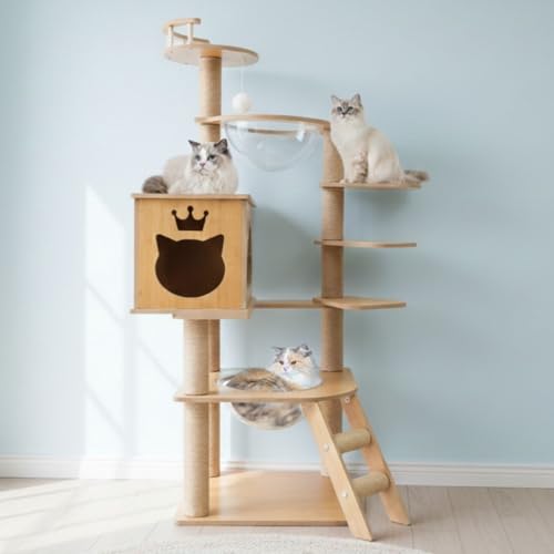 WEIMALL �L���b�g�^���[ �ؐ� �F���D ����133�p �X���� �������� �K�i�t�� �߂Ƃ��|�[�� �����{�E�� �|���ȒP �L�^���[ �ȃX�y�[�X �V�j�A�L ��^�L �q�L ������ �^���s������ ������� �C���e���A �V�R�� CT001