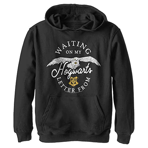 Sweat à capuche Harry Potter enfant Les Reliques de la Mort noir