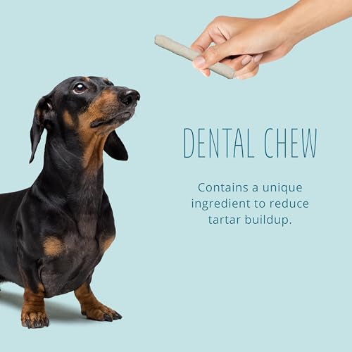Better Belly Highly Digestible Rawhide Dental Chews, Treat Your Dog to a Chew with NO Artificial Colors or Flavors, 10 Count - Thumbnail 4